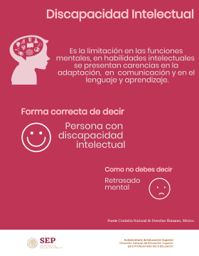 Discapacidad intelectual.
